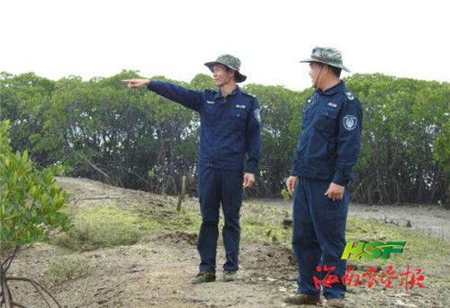 司保安人员在新盈红树林国家湿地公园巡逻,