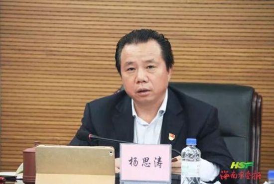 杨思涛:为海南实施乡村振兴战略作出海垦示范