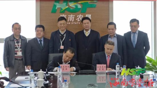 晨鸣纸业董事长_晨鸣纸业(2)