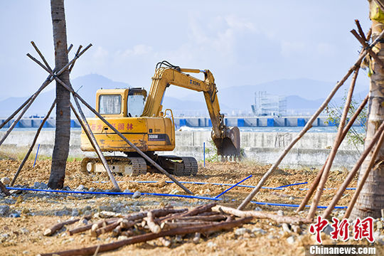 1月17日，三亚园林的挖掘机正在“三亚小洲岛度假酒店”项目原址平整土地，进行土地复绿。 中新社记者 骆云飞 摄