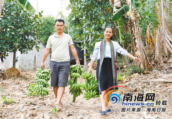 新时代的奋斗者| 陵水电商达人燕姐助农民脱