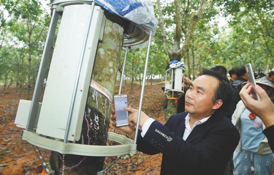 海胶集团与相关科研单位联合研发的自动割胶机实验成功,操作人员通过