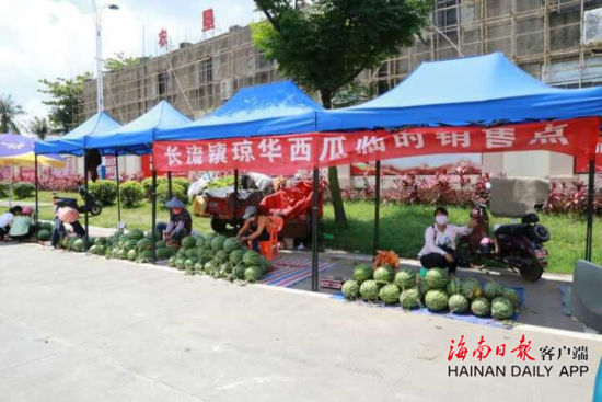 海口举行首届长流镇琼华西瓜节 趣味活动轮番