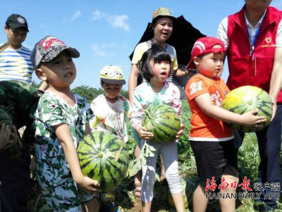 海口举行首届长流镇琼华西瓜节 趣味活动轮番