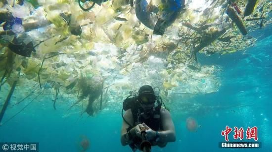 深海1万米也有塑料垃圾 近九成是塑料袋塑料瓶