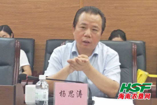 杨思涛介绍海南农垦新一轮改革发展情况.记者 张昌龙 摄