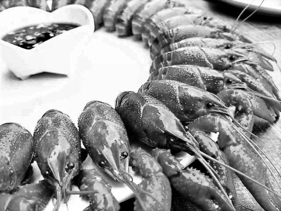 小龙虾虽美味 过敏者、痛风病人要忌口勿食