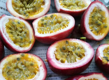 琼中百香果采摘季 尝鲜采摘乐趣多