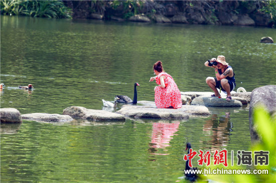 呀诺达引爆暑假狂欢 特色项目清凉一夏