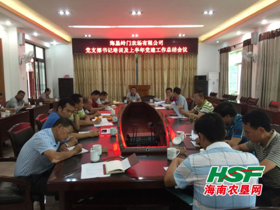 海垦岭门农场公司召开上半年党建工作总结会议