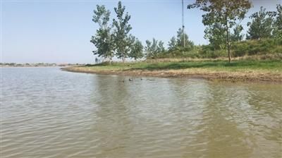洪泽湖鱼蟹死亡污染之争:苏皖对污水来源各执一词(3)
