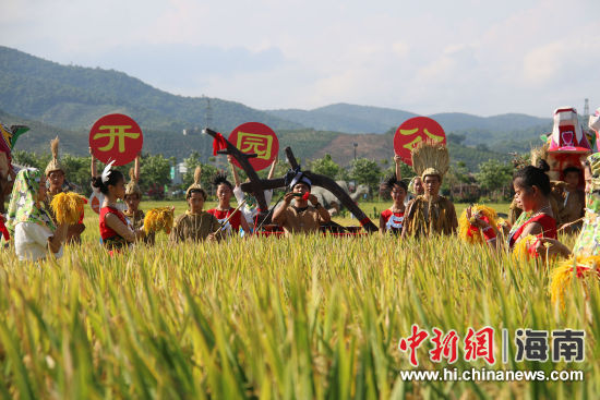 海南首届农民丰收节23日在三亚水稻国家公园举办