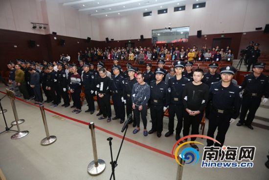 通讯员杨斌摄
