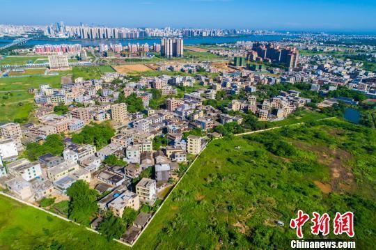 图为航拍海口江东新区。　骆云飞　摄