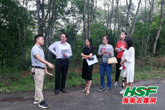 推进政企对接工作 黄文川一行到中坤调研油茶产业