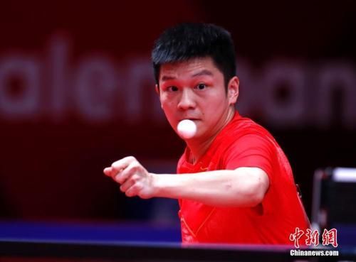 中国选手樊振东在比赛中。(资料图) 中新社记者 刘关关 摄