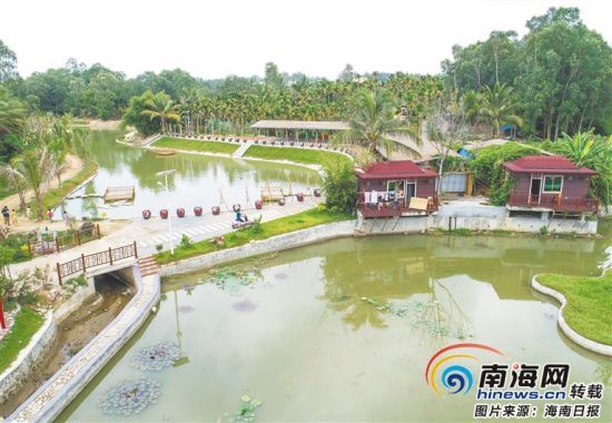 海南日报记者 梁君穷 特约记者 陈思国 道路干净整洁,房屋掩映在绿树红花之间,农户门前,一块块家训木牌写着勤俭持家尊老睦邻等短语。这是海南日报记者近日在陵水黎族自治县文罗镇坡村见到的场景。我们通过亮家风晒家训,促进乡村文明建设。 坡村乡村振兴工作队队长吴坤亮介绍。 2019年春节刚过,陵水根据省委部署,共选派343名乡村振兴工作队队员进驻全县所有乡镇、行政村,推动脱贫攻坚、乡村振兴战略的重大决策部署在基层落地见效。 4个多月来,陵水各个乡村振兴工作队紧紧围绕十抓十好职责