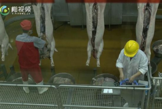 海口15日起生猪屠宰环节不收任何费用 让群众受惠