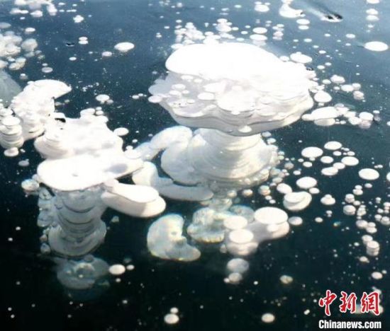 漠河市的莲花湖是中国唯一的一处"冰泡"湖 王景阳 摄