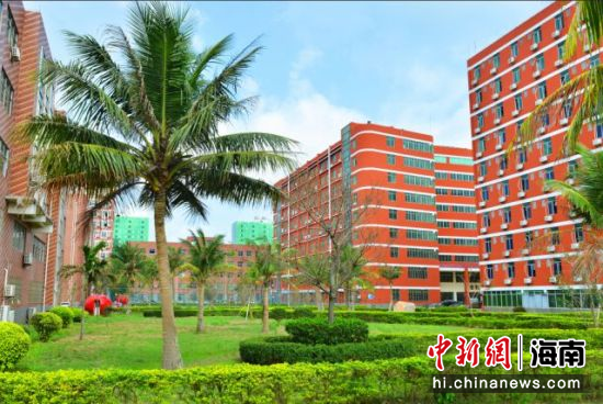 海南科技职业大学职业本科2020年计划招生2640人