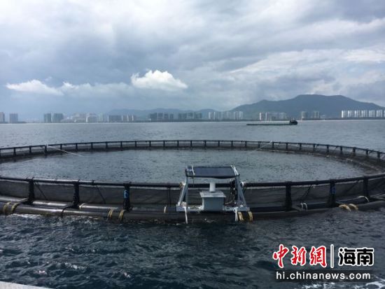 打造智慧渔业、智慧海湾山东因地制宜发展海洋新质生产力