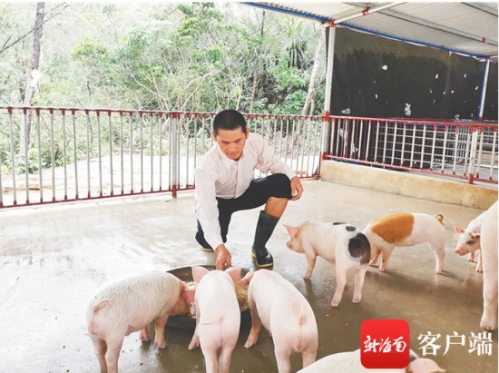 "6个孩子的爸爸"林树元获省脱贫攻坚奖奋进奖