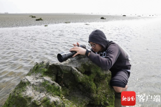 1月16日，调查员在会文镇滩涂开展越冬水鸟调查。记者 李昊 摄