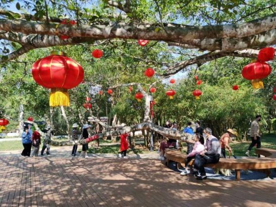 文昌宋氏祖居传统年味受游客欢迎。通讯员张倩 摄