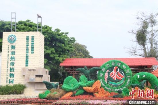    图为海南热带植物园。符宇群摄