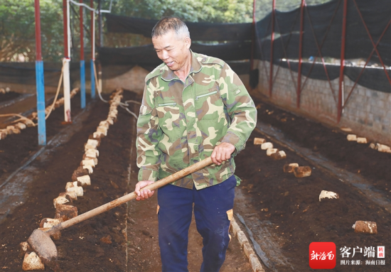 梁定合管理的蚯蚓养殖基地 海南日报记者 李天平 摄