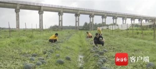 ժ