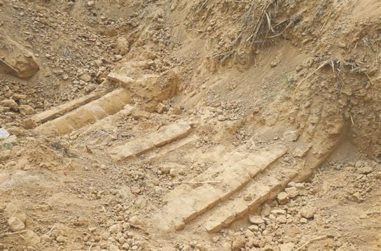 考古专家：可能是海南迄今为止发现的面积最大古墓葬群 暴露在外的古墓被青砖、红砖覆盖。海南日报记者 武威 摄