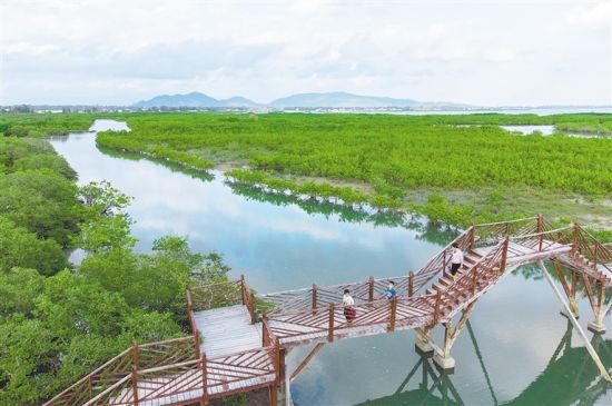 俯瞰陵水红树林国家湿地公园党建舞台剧《临高号角·抢滩》在临高首演