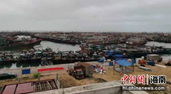 渔船返港停泊在新盈中心渔港。刘彬宇供图