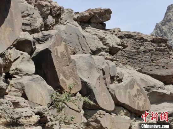  宁夏石嘴山境内发现30余幅以马和鹿图案为主的新岩画。　受访单位供图