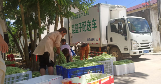 白沙菜篮子配送车辆进村运输瓜菜
