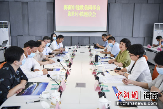 海南申建欧美同学会海归小镇座谈会8日下午在陵水黎族自治县举办。骆云飞 摄