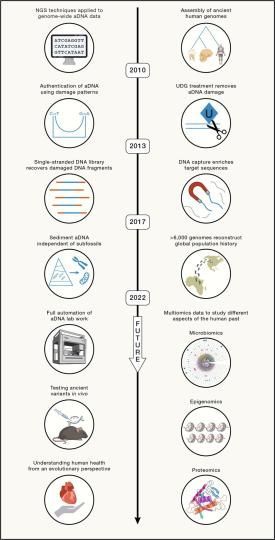 2010年以来古DNA技术发展的重要里程碑。　付巧妹团队 供图