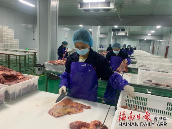 在海南展宏食品有限公司车间，工人们忙着切割牛肉。海南日报记者 余小艳 摄