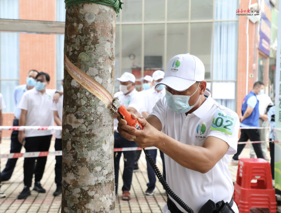 电动胶刀选手在比赛中。通讯员 符子怡 拍摄