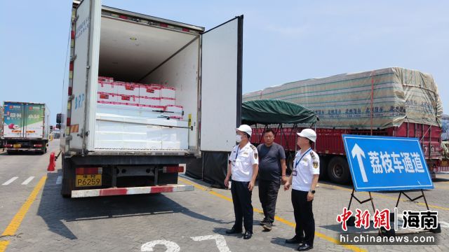 图为海口新海港港口企业设立荔枝运输车辆专用“绿色通道”。海口海事局供图