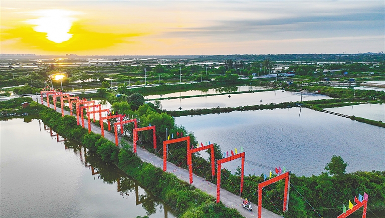 儋州市中和镇新村村，村口搭建起一排升学彩门，庆贺村中学子高考金榜题名。本报记者 陈元才 摄