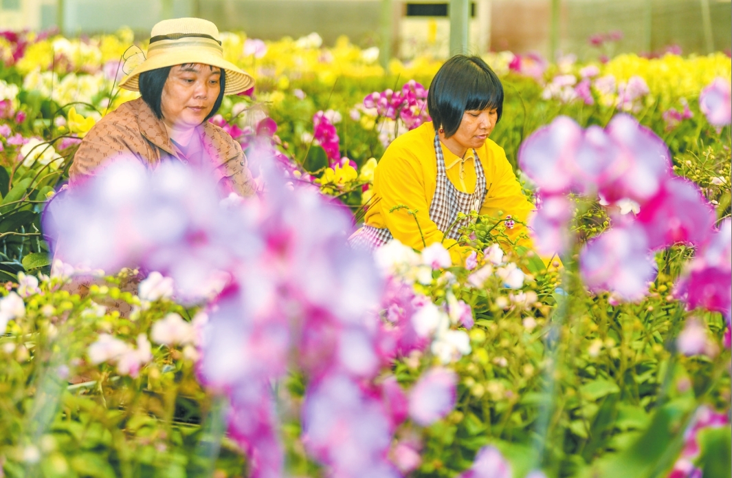 �������������ӯ�����������Ҵ����ڣ���ɫ���������޶�Ŀ���������� ������ ��