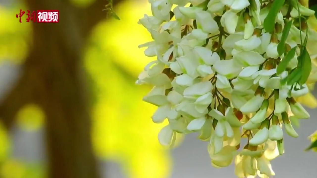 全球生物多样性治理历程的中国烙印