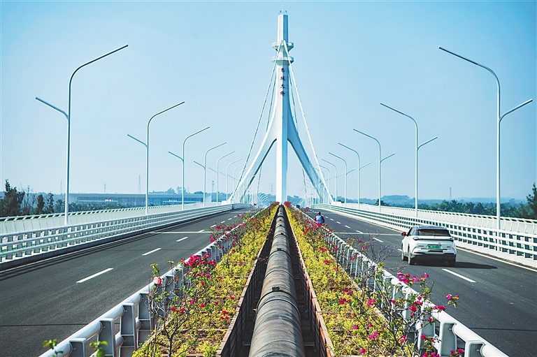 1月19日，乐城大桥正式通车。特约记者 蒙钟德 摄