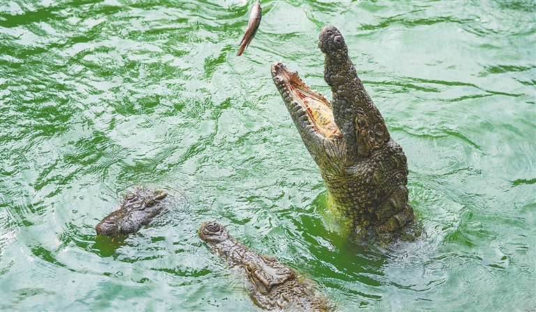 ڶСſοͶιձȫý Ԫ 