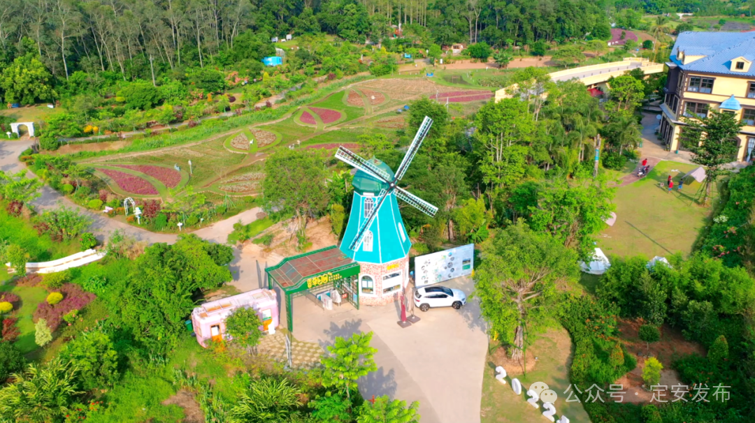 香草田园(图片来源:定安发布微信公众号)
