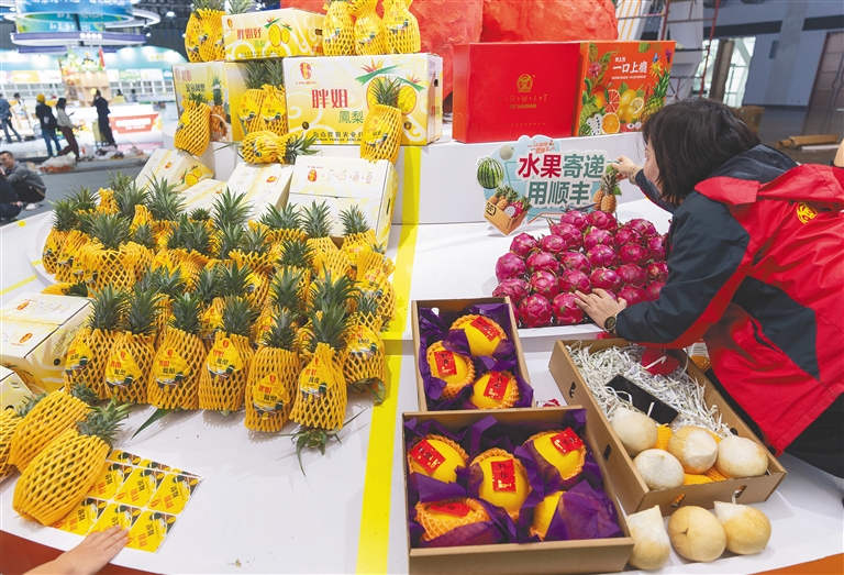 十二月三日,在海南国际会展中心,冬交会布展进入收尾阶段,工作人员在摆放水果。海南日报全媒体记者 袁琛 摄