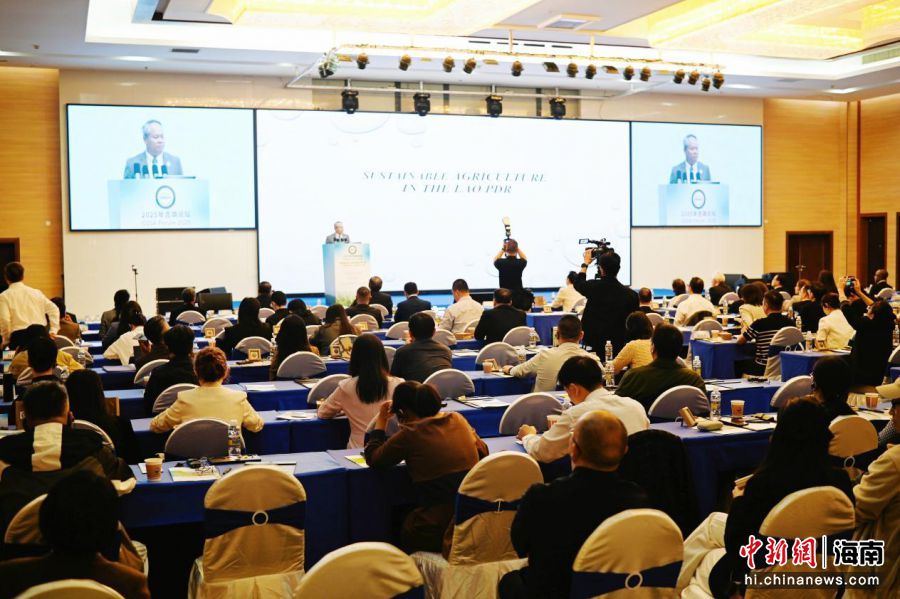 2025年吉飒论坛在海口召开。主办方供图