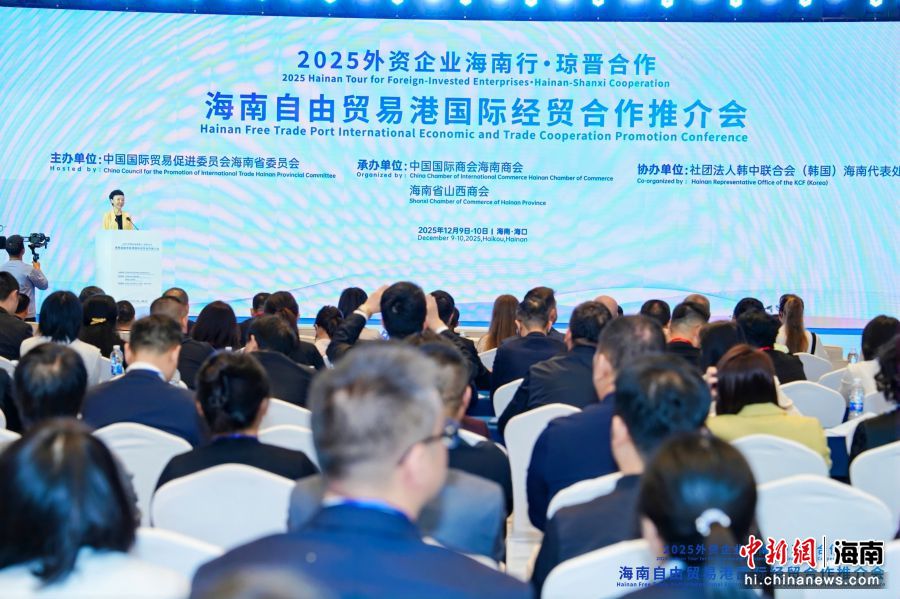 海南自由贸易港国际经贸合作推介会举办。主办方供图